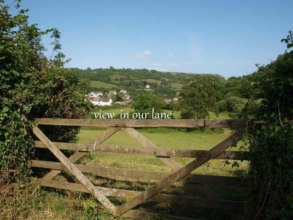 Cozy Snug Room, Short Drive To Lyme Regis, Crackling Fireplace, Private Balcony & Stunning Countryside Views, Free Private Parking & Wifi Axminster Extérieur photo