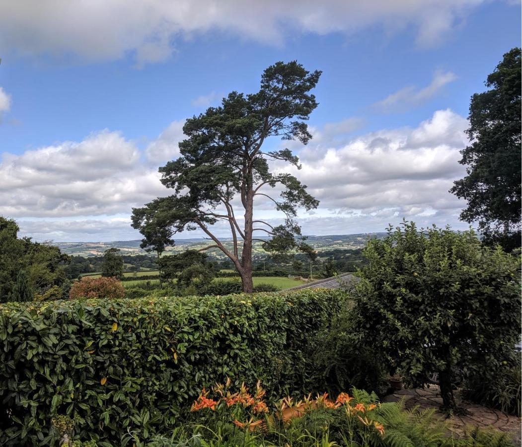 Cozy Snug Room, Short Drive To Lyme Regis, Crackling Fireplace, Private Balcony & Stunning Countryside Views, Free Private Parking & Wifi Axminster Extérieur photo