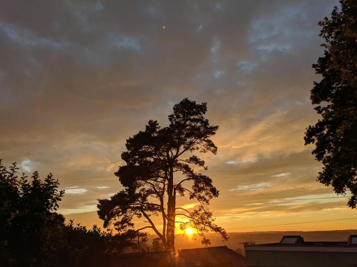 Cozy Snug Room, Short Drive To Lyme Regis, Crackling Fireplace, Private Balcony & Stunning Countryside Views, Free Private Parking & Wifi Axminster Extérieur photo